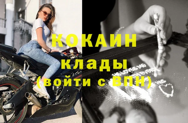 шишки Кинешма