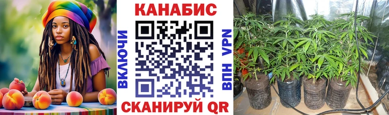 Марихуана Bruce Banner  Купить  Гвардейск 